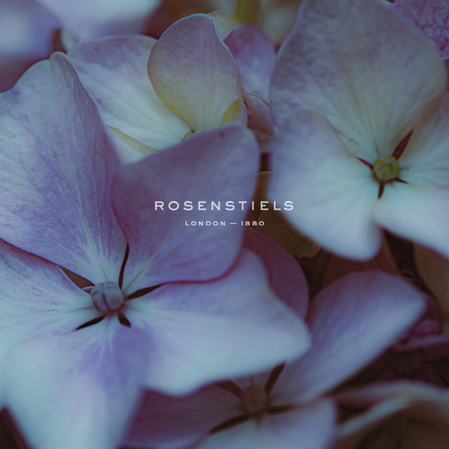 Hydrangea Detail - Florian Schleinig