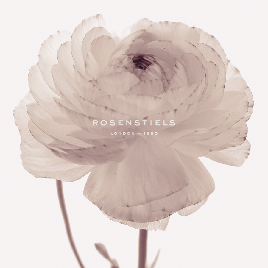 Flourish - Serene - Katja Marzahn