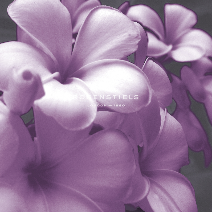 Plumeria Bloom I - Tony Koukos
