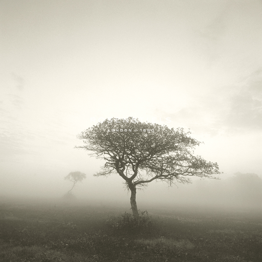 Wilderness - Hardy - Michael Kahn