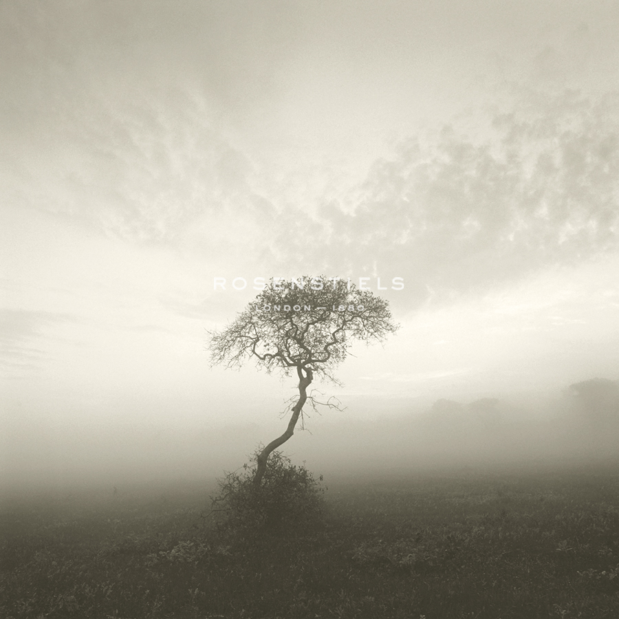 Wilderness - Solitary - Michael Kahn