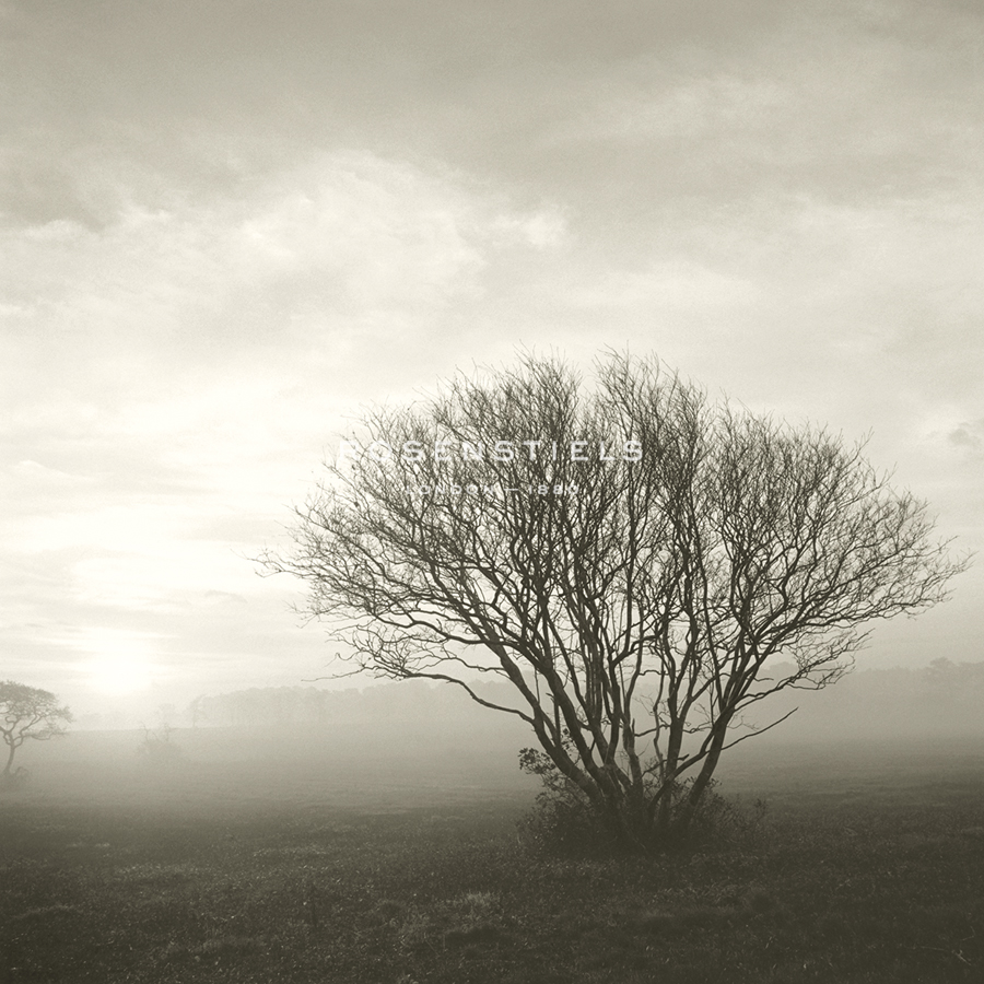 Wilderness - Steady - Michael Kahn