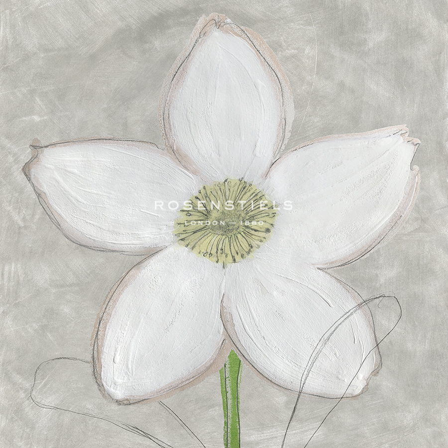 Floral Calm - Dainty - Belle Poesia