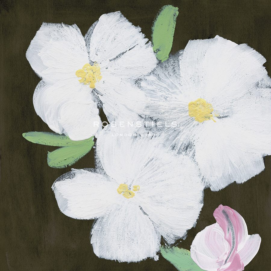 Modern Floral - Trio - Belle Poesia