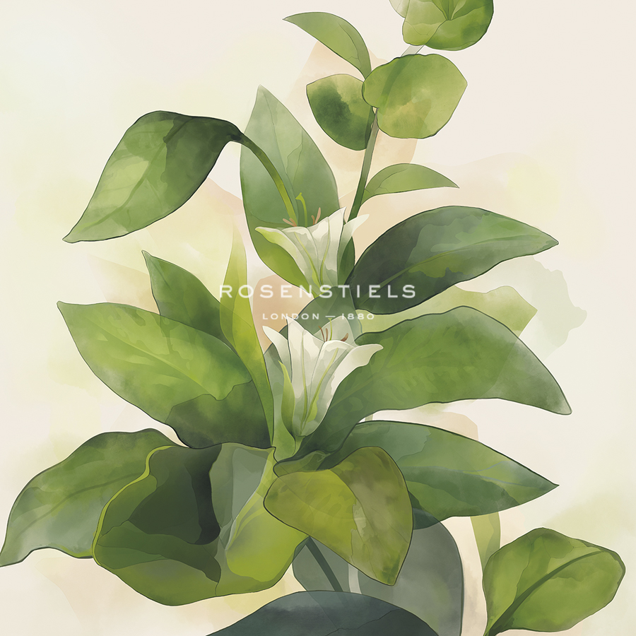 Hazy Tropics - Grow - Aria Ellis