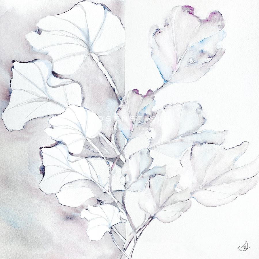 Ephemeral Foliage - Flow - Stella  Chang
