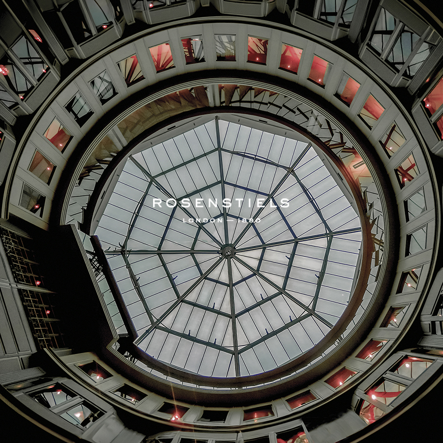 Convex Skylight - Ash Camas