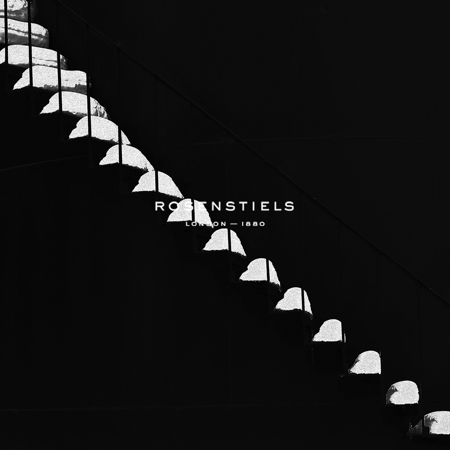 Snowy Steps - Ash Camas