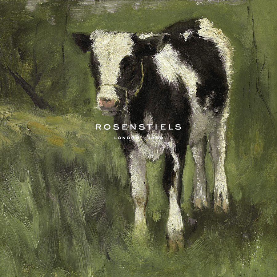 Calf - Geo  Poggenbeek