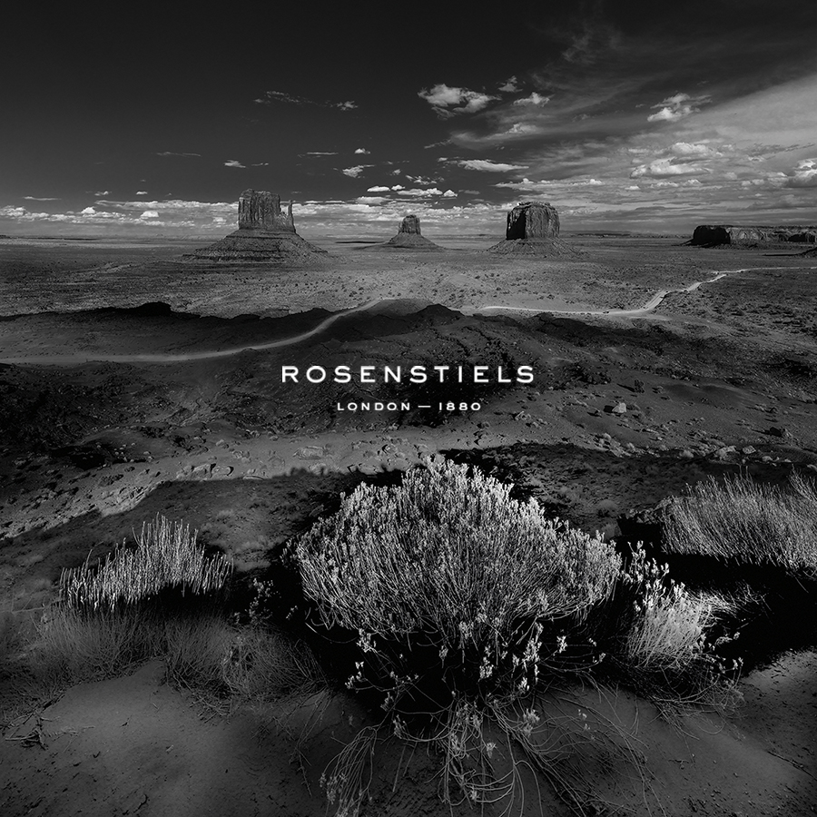 Desert Monument - Vista - Howard  Kingsnorth