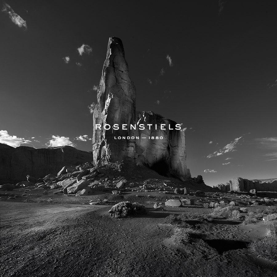 Desert Monument - Spectacle - Howard  Kingsnorth