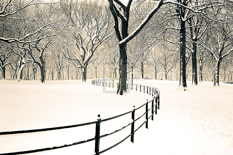 Central Park Snow - Andrew Geiger