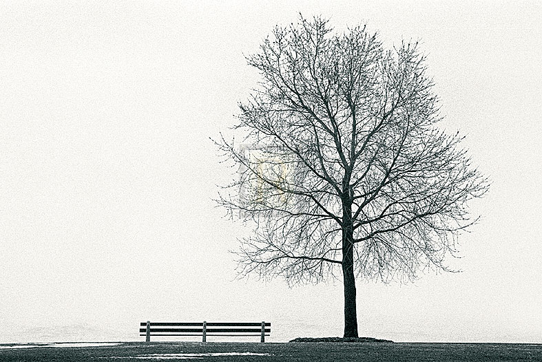 Place to Rest - Jay Wesler