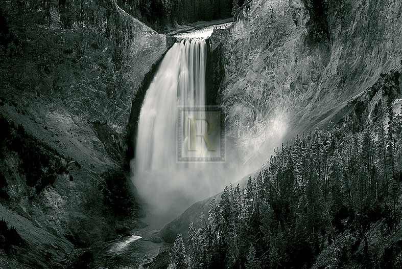 Freefall - Jay Wesler