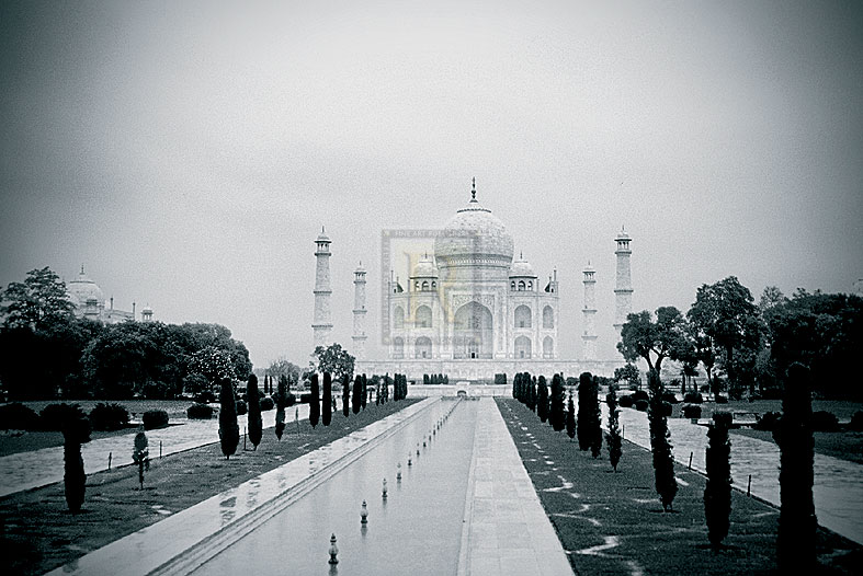 Taj Vista - John Harper