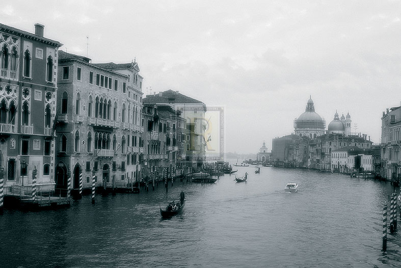 Venice Vista - John Harper