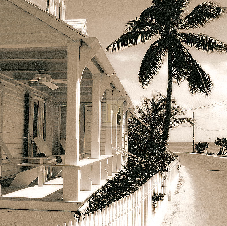 Coastal Road - Sepia - Malcolm Sanders
