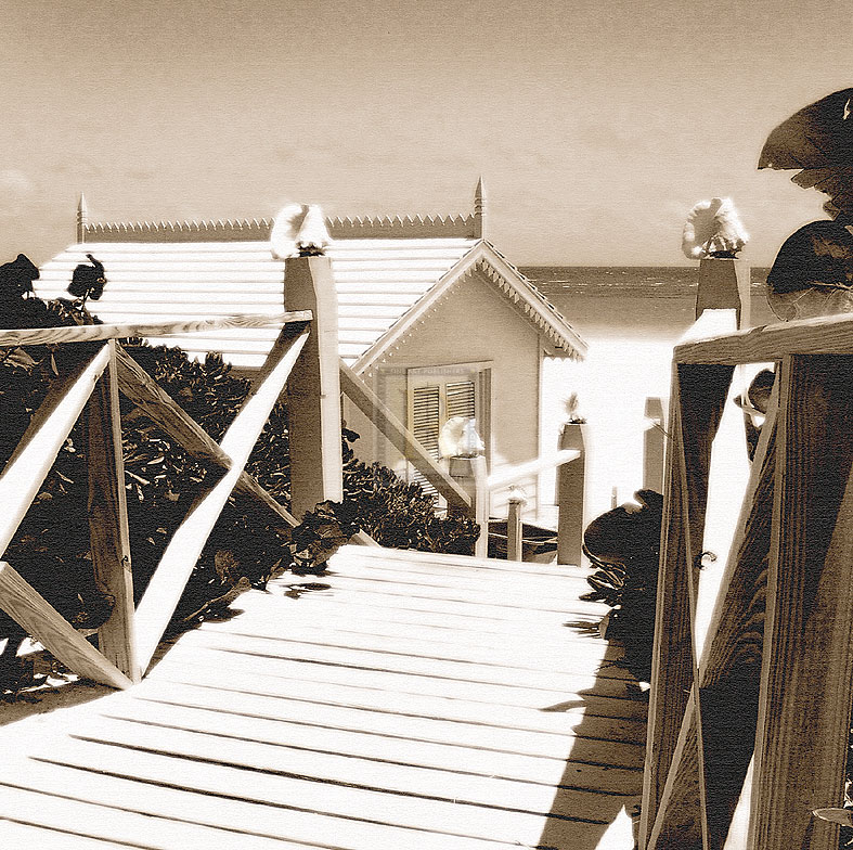 Invitation - Sepia - Malcolm Sanders