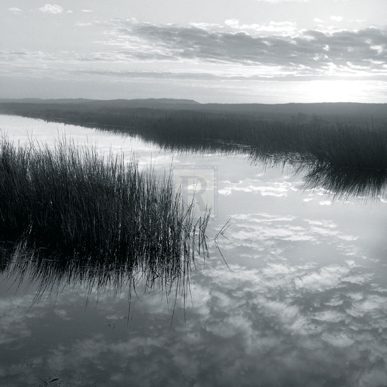 Salt Marsh Reflections - Michael Kahn