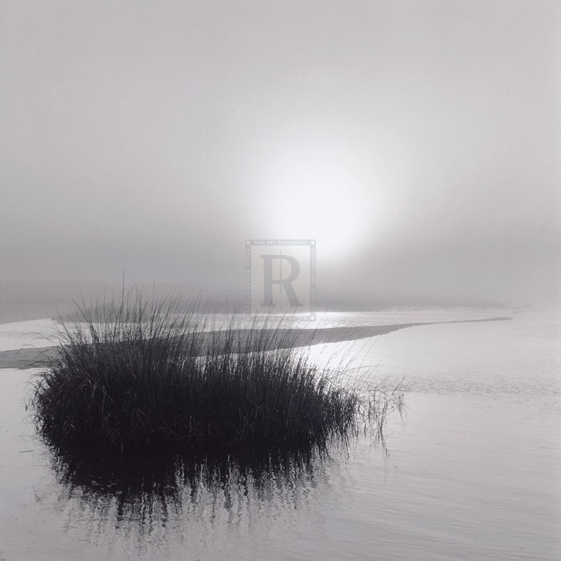 Fog over Katama - Michael Kahn
