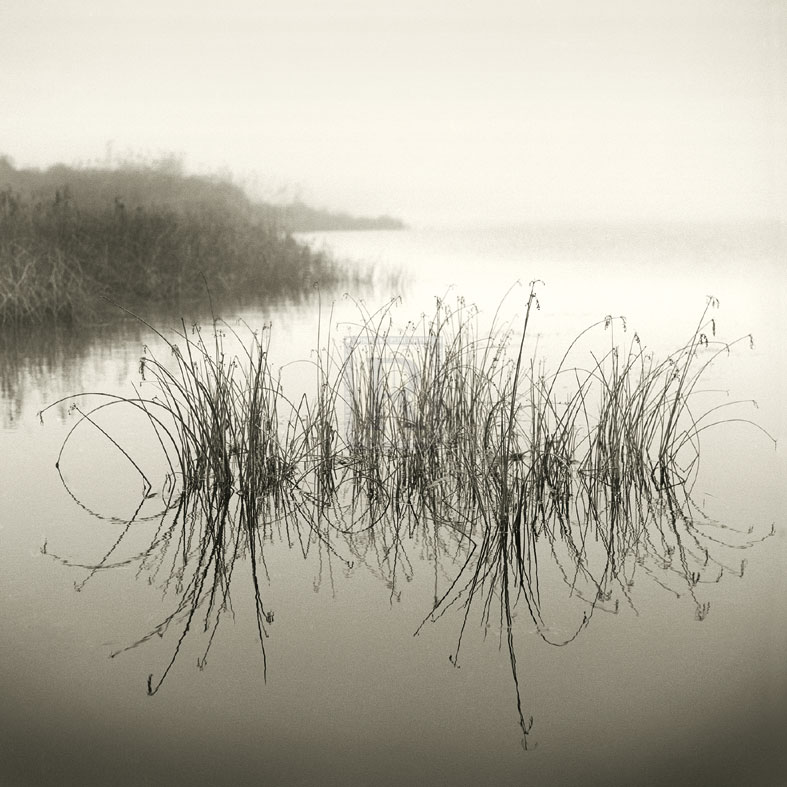Reeds - Michael Kahn