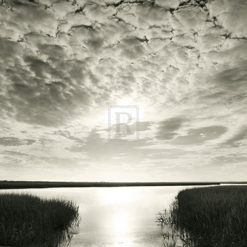 Through The Marsh - Michael Kahn