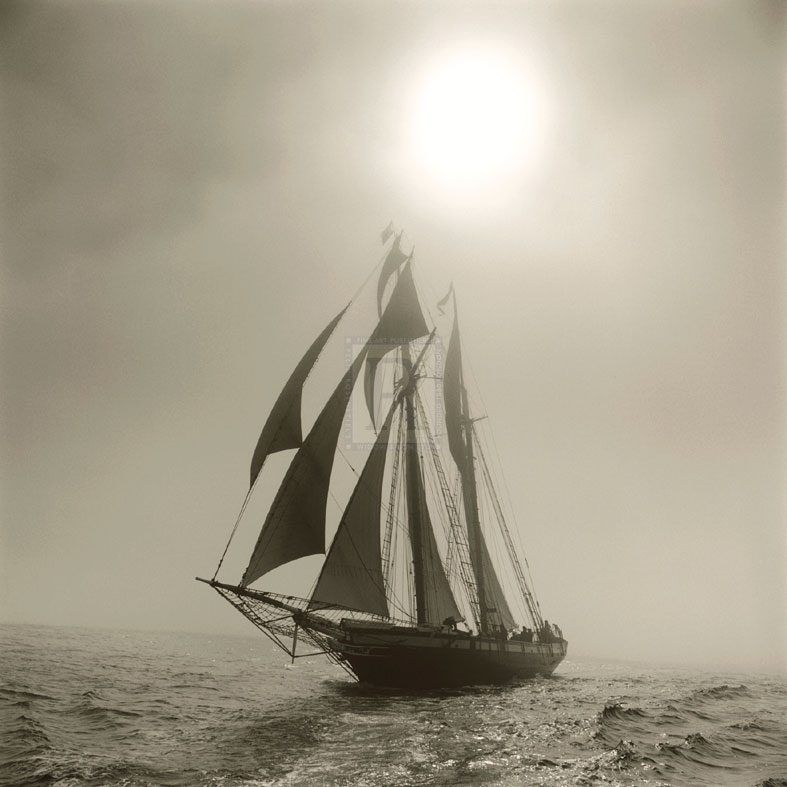 Voyage - Michael Kahn