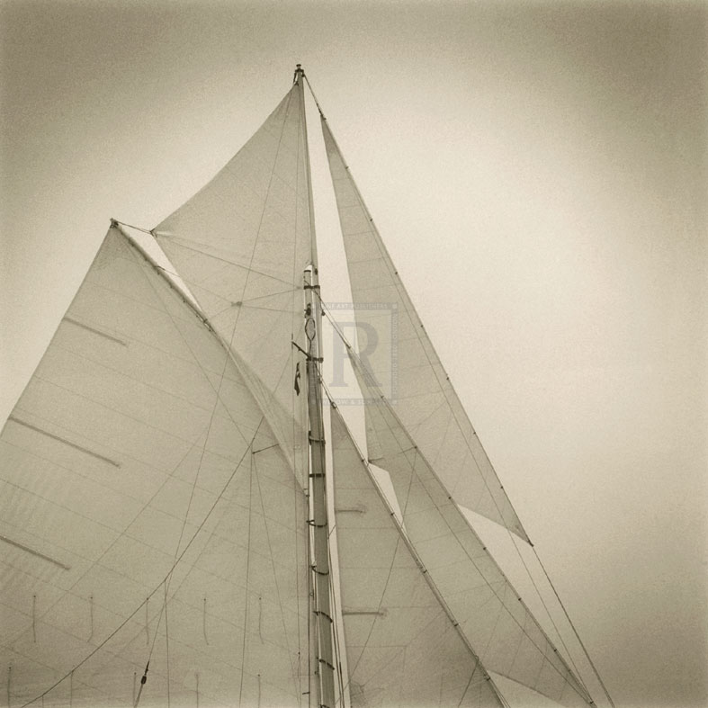 Sails of Friendship Sloop - Michael Kahn