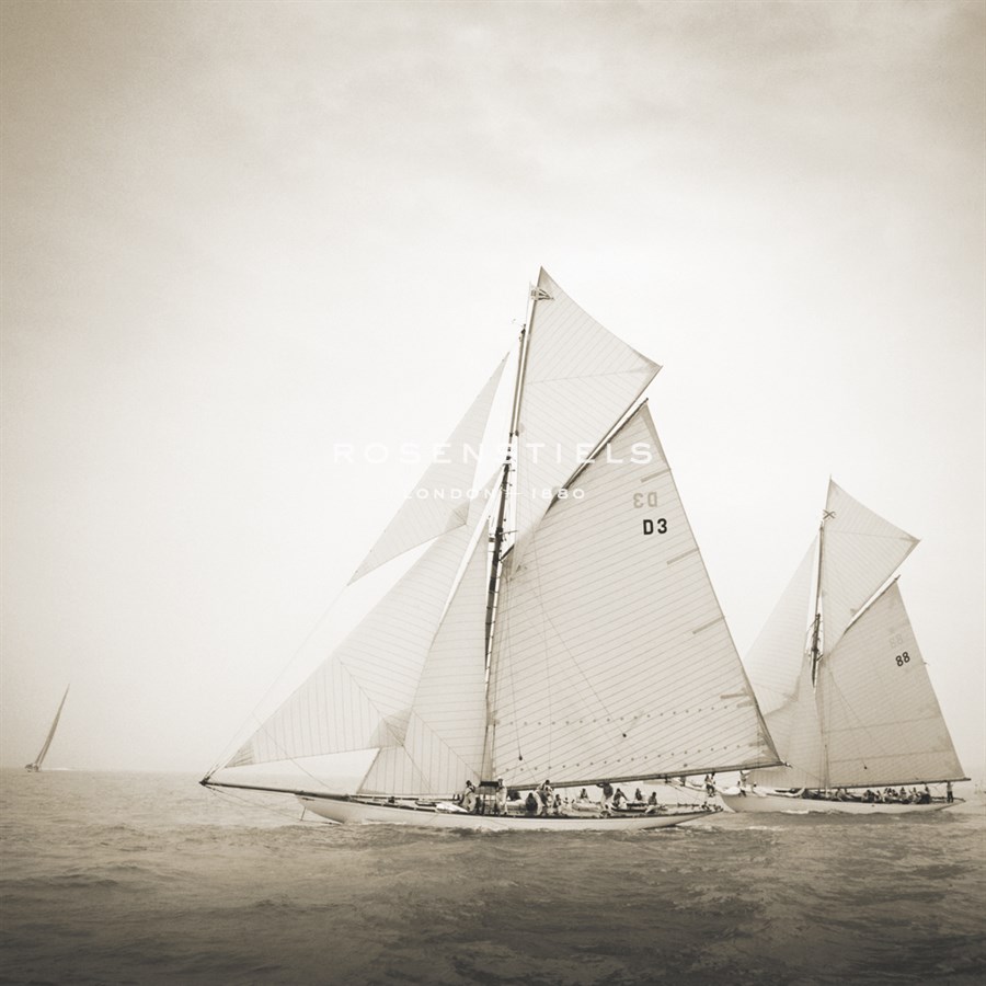 Tuiga and Moonbeam - Michael Kahn
