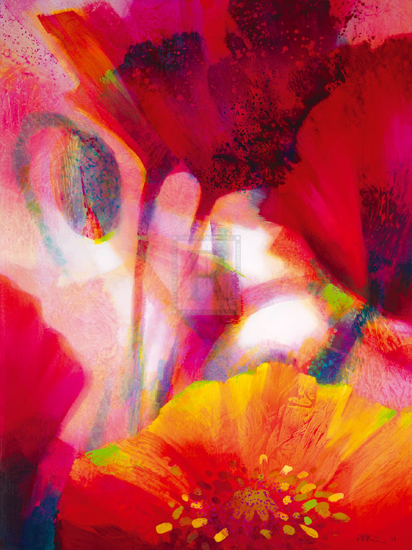 Amid Poppies II - Nick Vivian