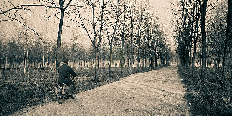 Country Road - Andrew Geiger