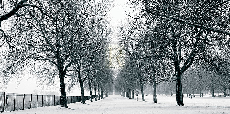 White Avenue - Joseph Eta