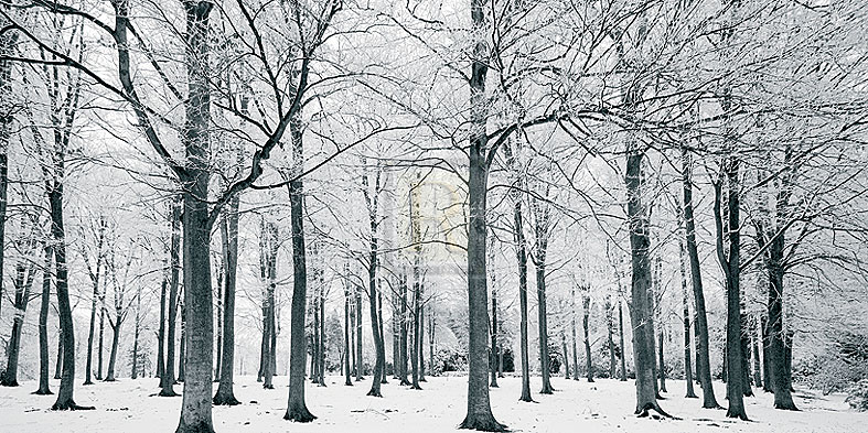 Glade In Winter - Joseph Eta