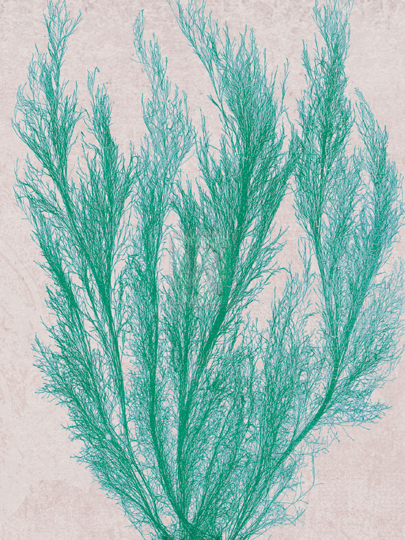 Emerald Sea IV - Henry Bradbury