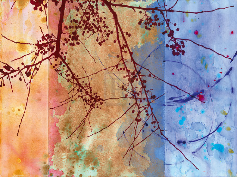 Lambent Sunlight - Jackie Battenfield