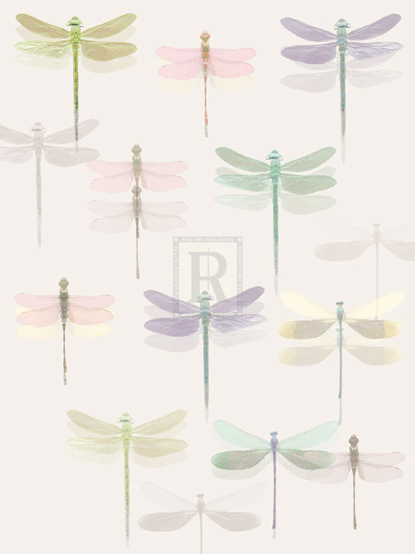 Dragonfly Dream - Katja Marzahn