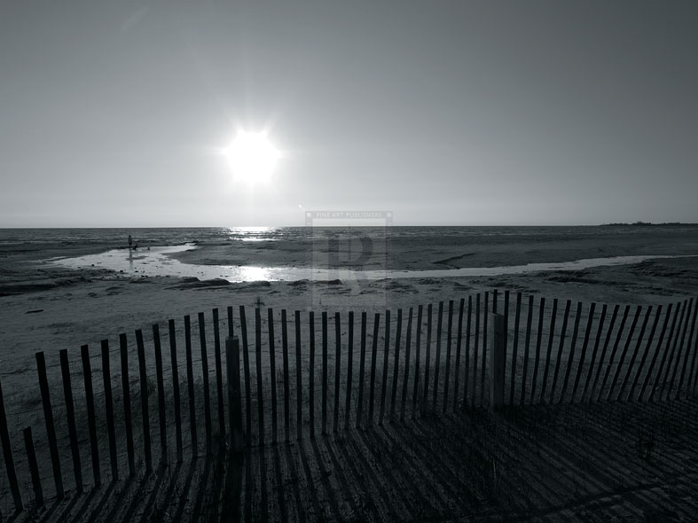 Coastal Path I - Mike Toy