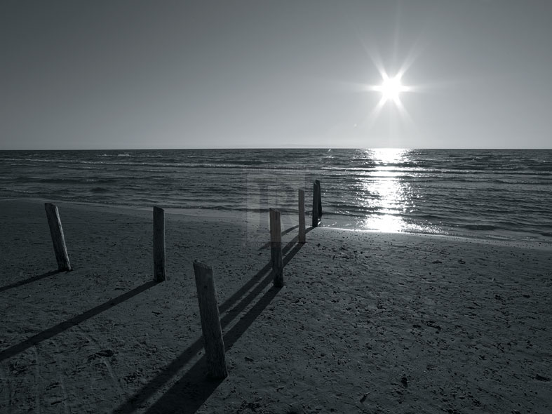 Coastal Path II - Mike Toy