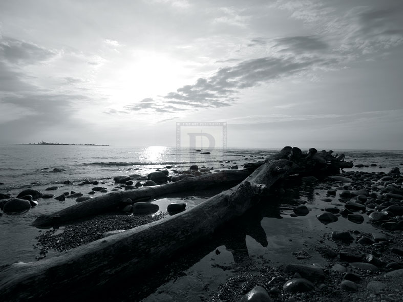 Coastal Path IV - Mike Toy