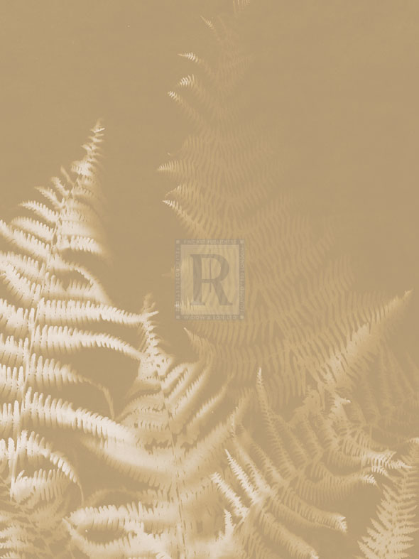 Bracken - Sarah Cheyne