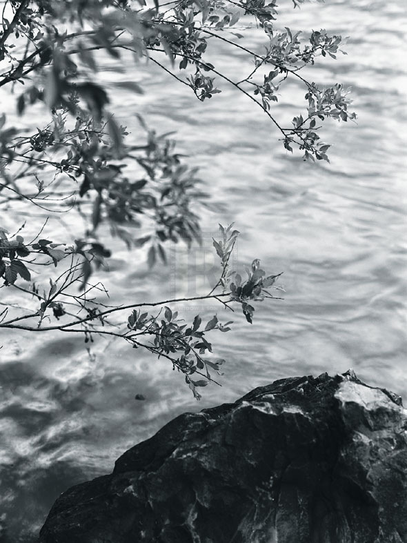 Ripples - Andrew Geiger