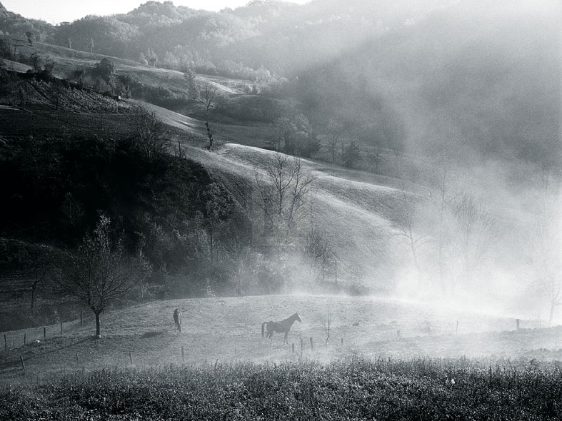 High Pasture - Andrew Geiger