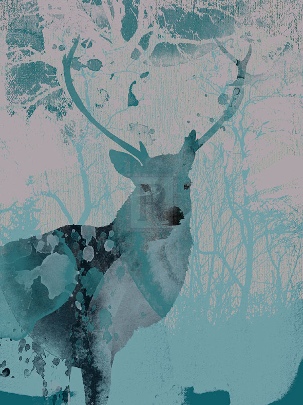 Deerhood II - Ken Hurd