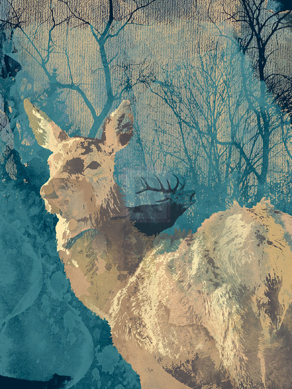 Deerhood IV - Ken Hurd