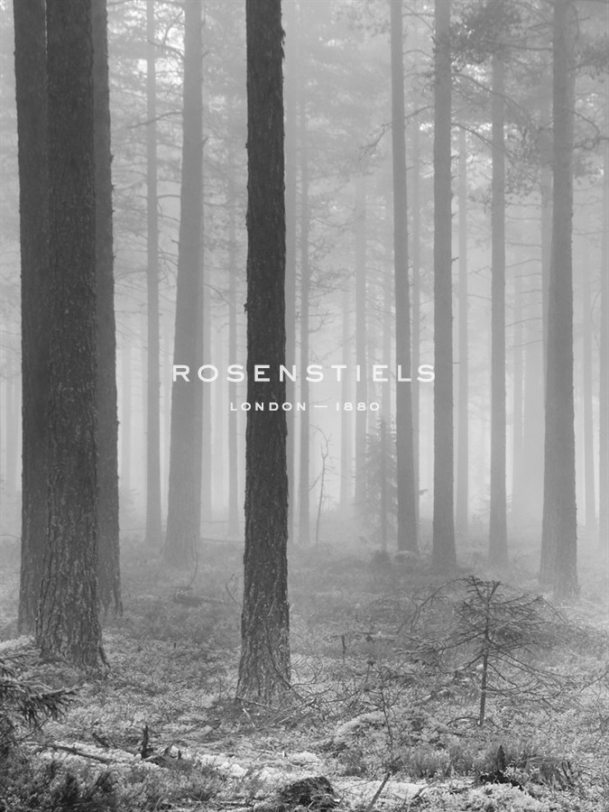 Towards The Light B&W - Andreas Stridsberg