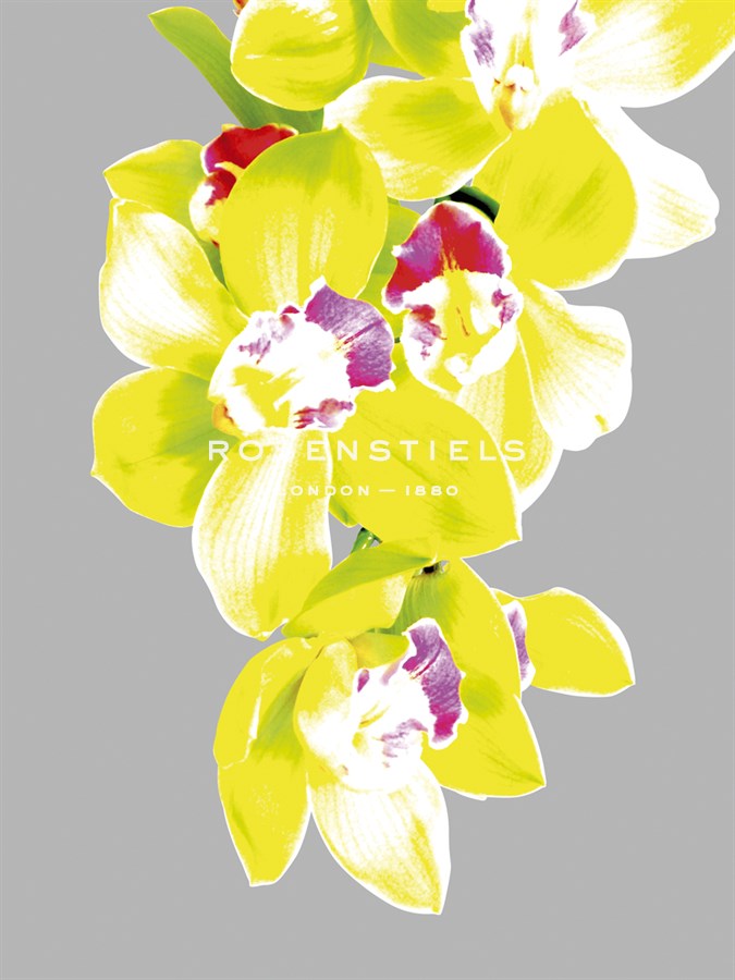 Neon Orchid II - Sukhanlee