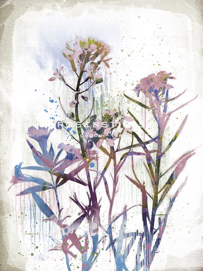 Flower Mist I - Ken Hurd