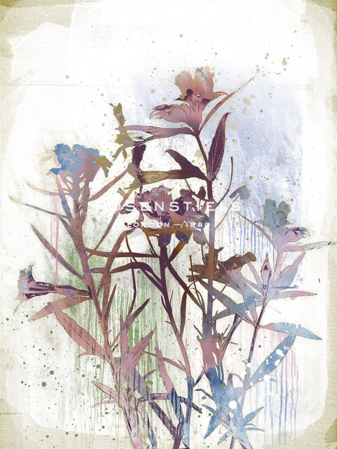 Flower Mist II - Ken Hurd