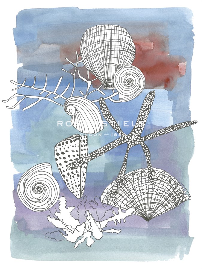 Sea Shell I - Katrien Soeffers