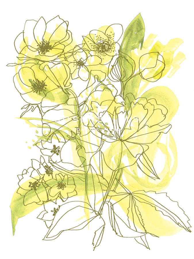 Flower Burst II - Katrien Soeffers